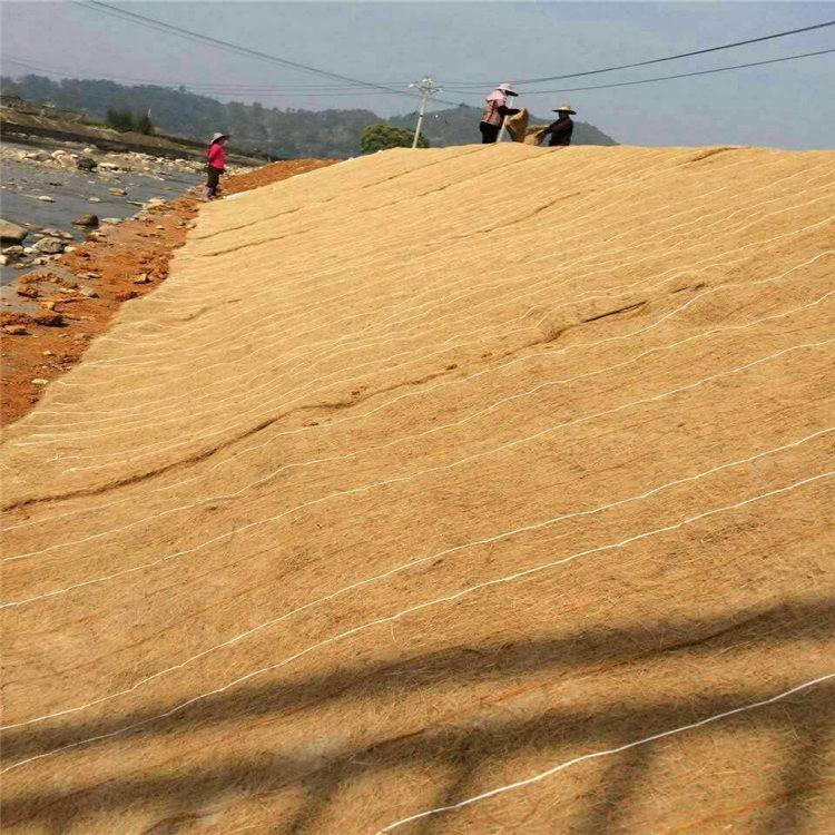 护坡绿化用植物纤维毯