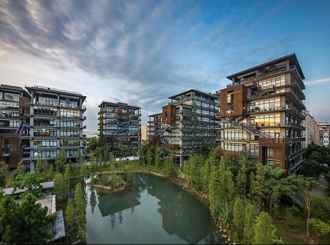 泰华梧桐岛 科技创新园 深圳宝安区 写字楼租赁中心 环境优雅