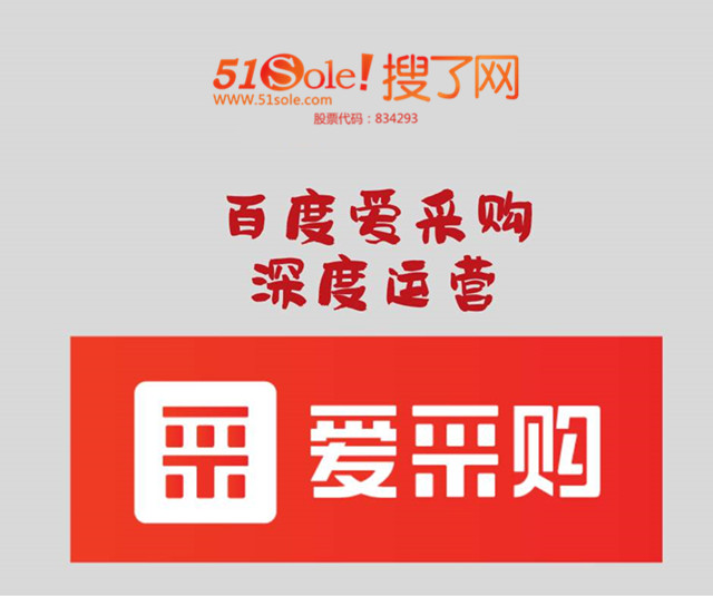 搜了网会员登录,网站建设公司