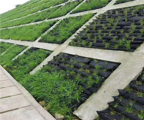 护坡无纺布绿化生态袋土工袋袋植生袋防汛袋袋编织袋护坡生态袋