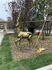 雕塑鹿 园林景观鹿雕塑摆件