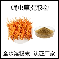 蛹蟲草提取物 子實(shí)體噴霧干燥濃縮 全水溶可代工成品