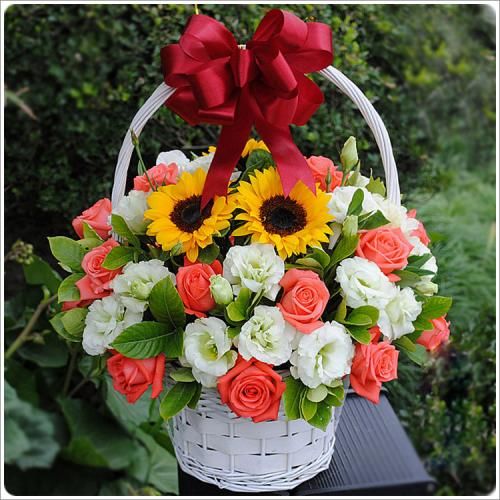 13朵红玫瑰鲜花送女朋友生日鲜花