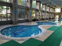 东莞温泉游泳池 游泳池工程施工单位
