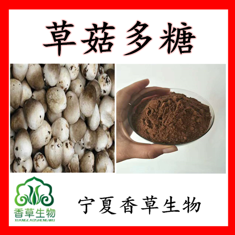 草菇多糖30% 稻草菇提取物速溶粉 草菇提取物原粉