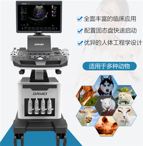 小动物b超 宠物多普勒彩超 兽用动物彩超 动物实验超声设备