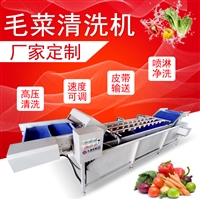 毛菜清洗机JY-5200 整棵菜自动翻转消毒洗菜机 网链提升蔬菜清洗机直供