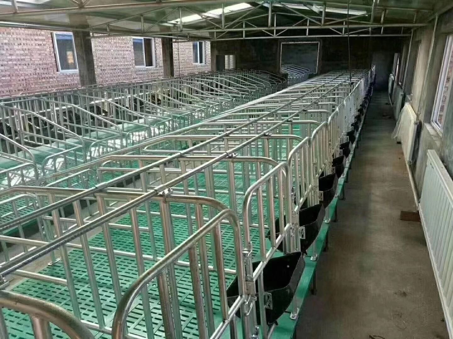 母猪定位栏管厚25热镀锌母猪限位栏猪用围栏