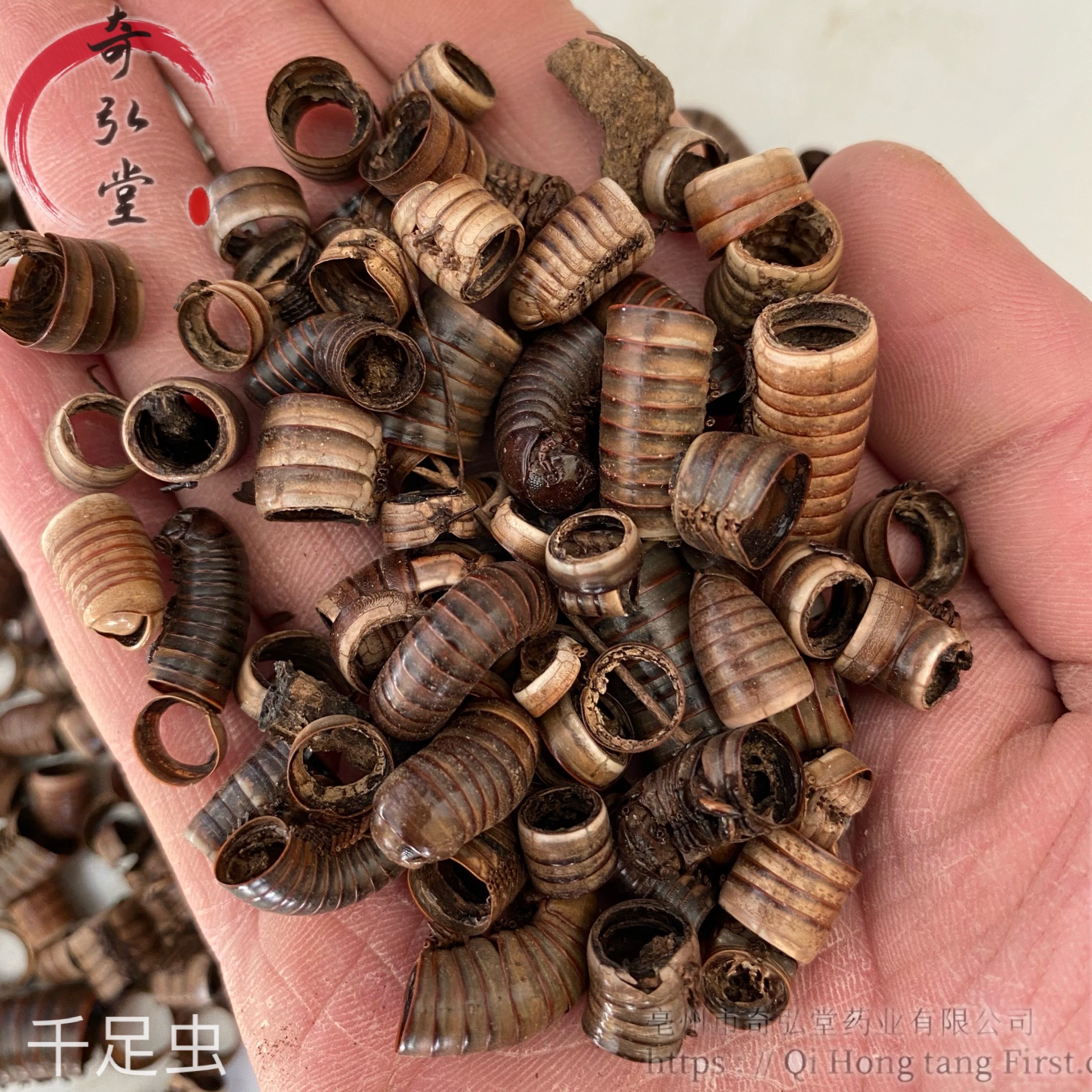 中药材马陆马陆的价格