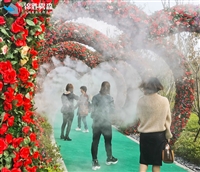 芜湖市街道环保喷雾机装置