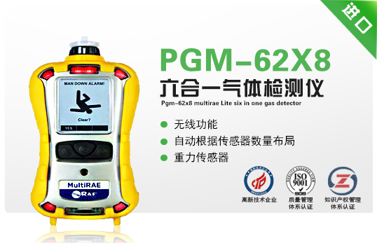 PGM-6208 MultiRAE 2 
