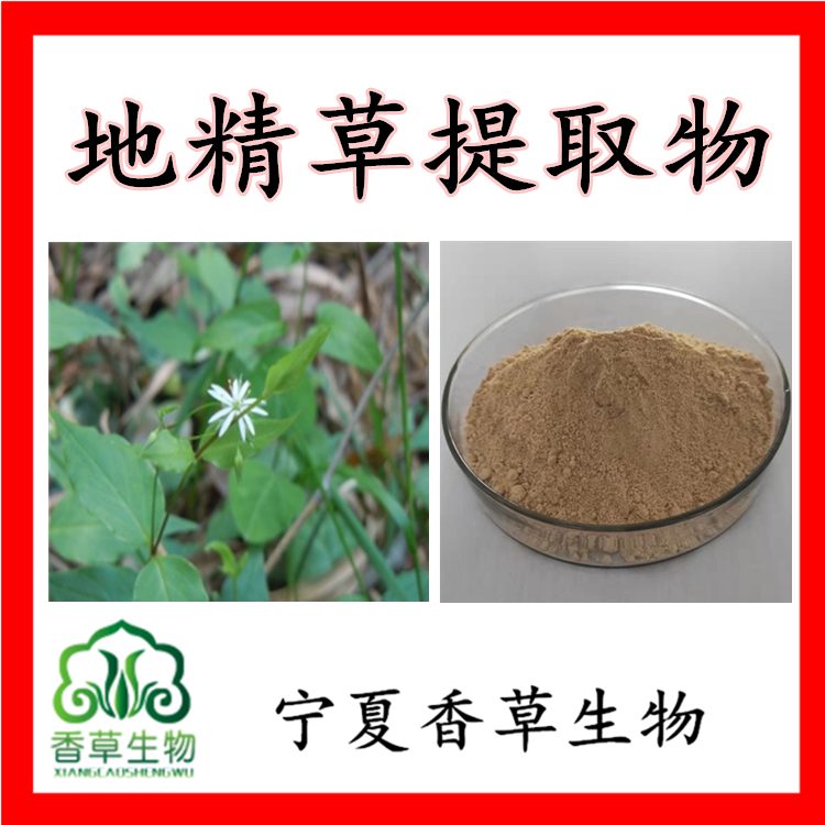 地精草提取物原粉80目筋骨菜提取物黄酮水溶性抽筋草提取物
