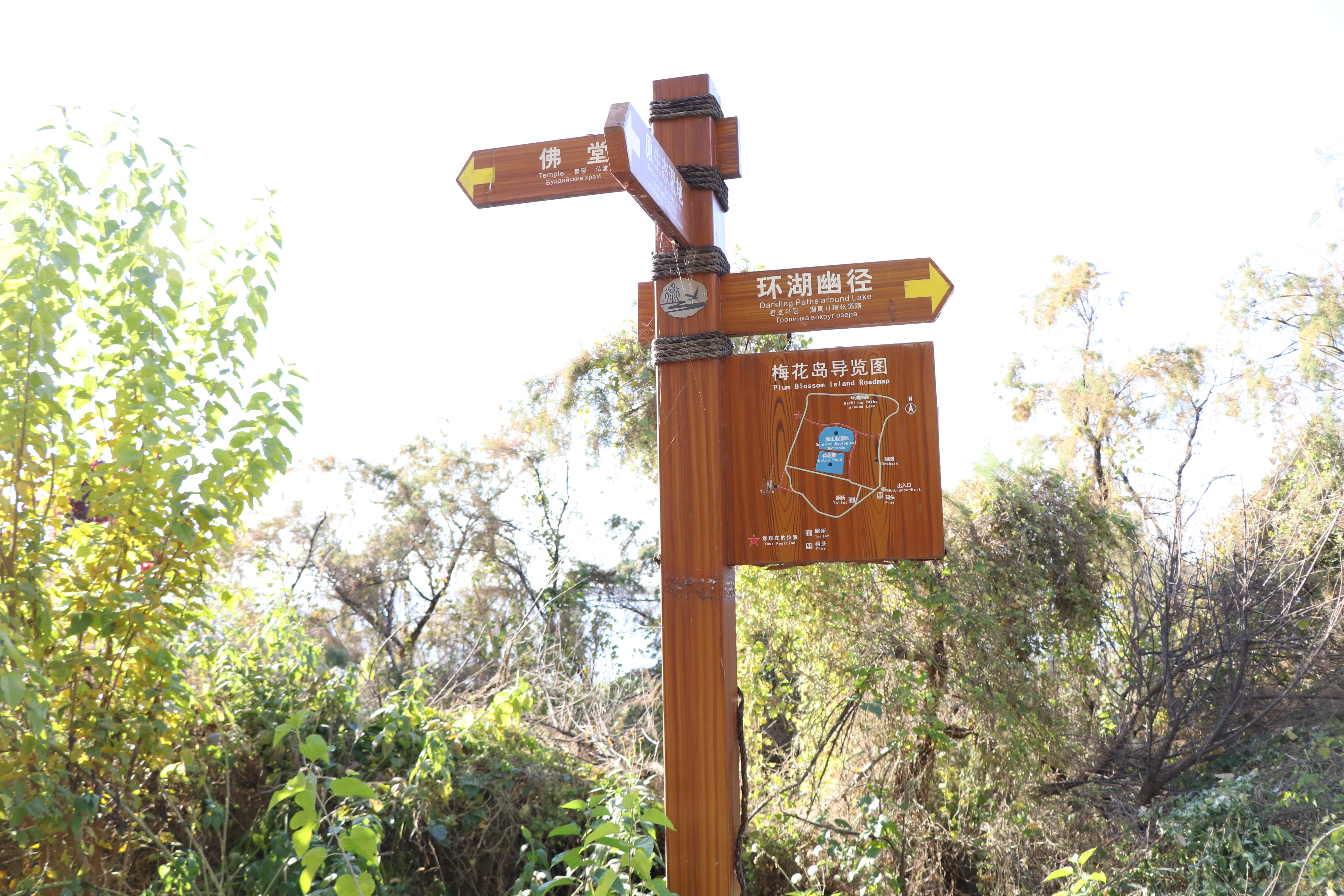 蓝海标识标牌厂家 旅游园林景区导向牌 在线设计定制
