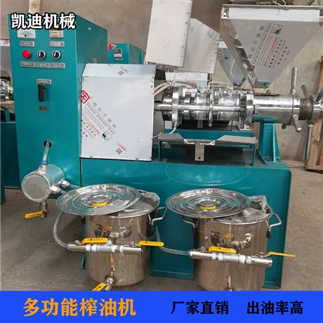 溫州家用小型香油機(jī) 100型螺旋榨油機(jī) 全自動(dòng)山核桃榨油機(jī)價(jià)格