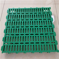简单安装塑料羊粪板，60*60厘米新款羊床铺板，塑料育肥羊垫板