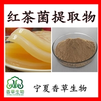 红茶菌提取物多糖 海宝提取物  红茶菌多肽小分子肽
