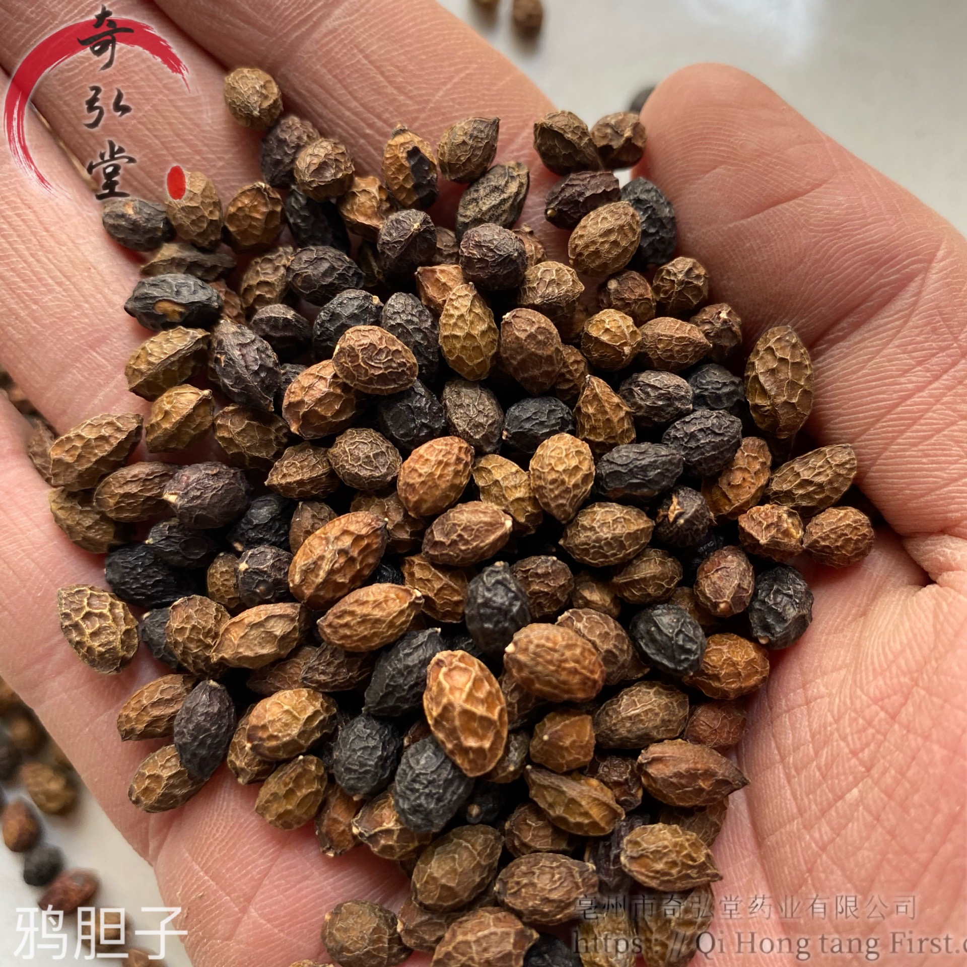 出售中药材鸦胆子干燥当年货鸦胆子