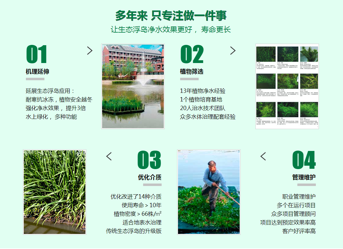 人造生态浮岛 绿化改造工程 深圳市水面蔬菜浮岛