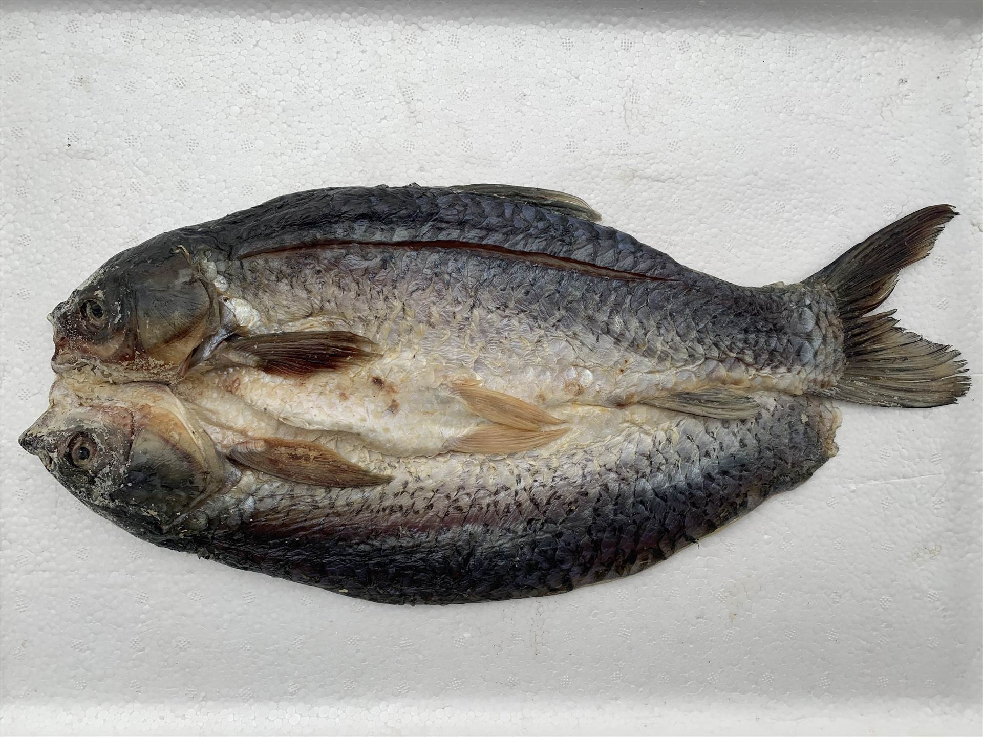 咸鱼腊鱼无头鱼草鱼农家自制风干晾晒干货1000g湖北特产腌制干鱼