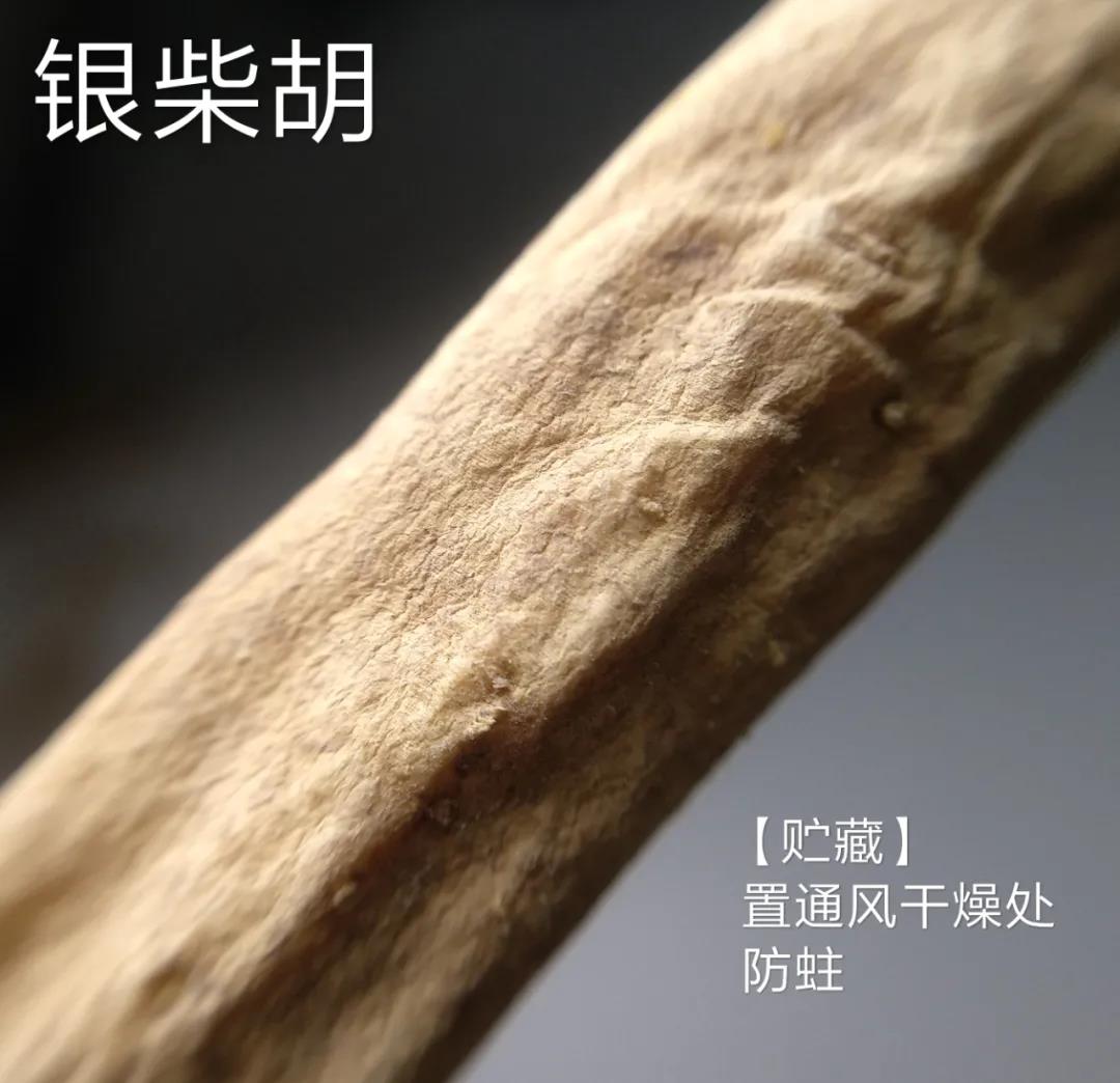 银柴胡价格中药材银柴胡批发