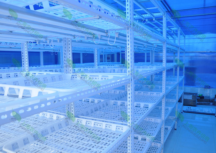 组培架植物组织培养室组培架