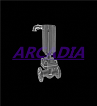 进口蒸汽电磁阀 工作原理 结构 美国ARCADIA阿卡迪亚品牌