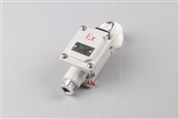 dLXK5 防爆行程开关