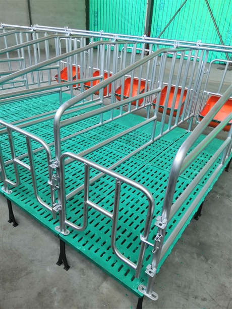 猪用限位栏养猪设备猪用围栏厂家直销