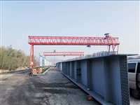 广西南宁龙门吊厂家 健康成长