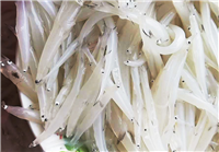 银鱼产地批发价格 银鱼批发市场 太湖银鱼批发商