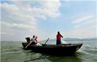 银鱼批发零售 银鱼批发商 银鱼批发多钱一斤