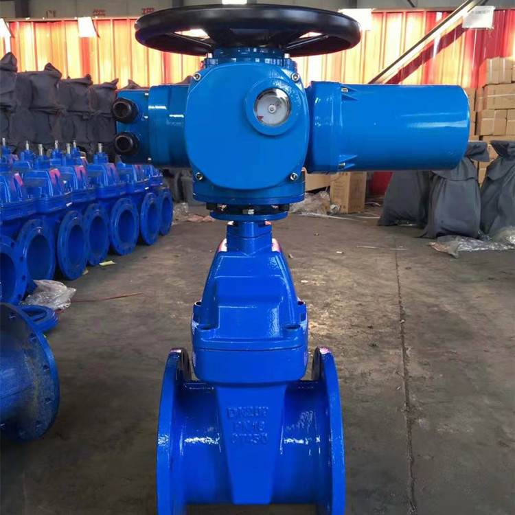 电动弹性座封闸阀 z945x-16q 自来水 消防 污水电动软密封法兰闸