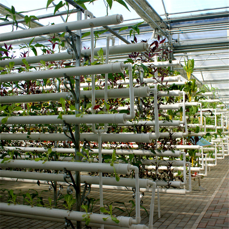 无土栽培设备无土栽培温室山东玻璃温室