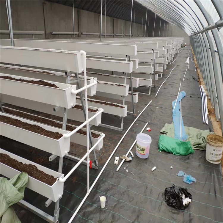 草莓立体种植槽无土栽培槽无土栽培温室建造