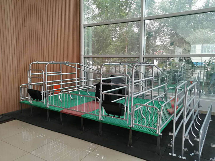 母猪产床简易母猪位落地式产床产保两用多功能床猪场养猪设备