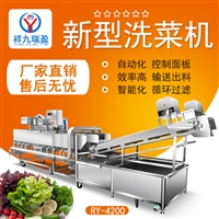 厂家供应大型洗菜机RY-4200