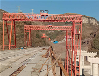 供应广西龙门吊出租