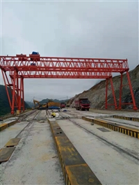 供应广西龙门吊出租厂家