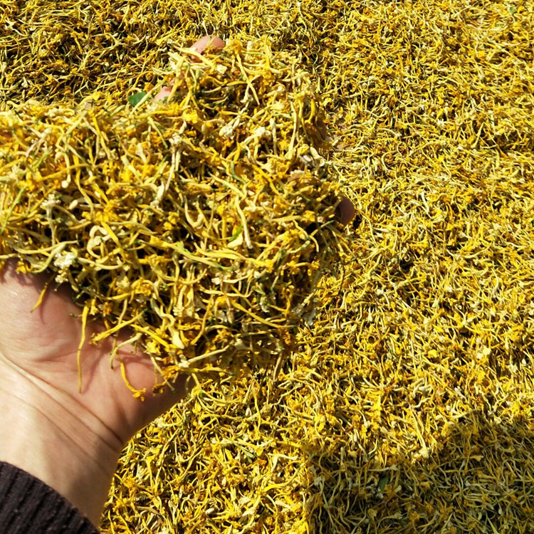 金银花茶云南野长金银花清热降火罐装散装精选无硫自然晒干100g