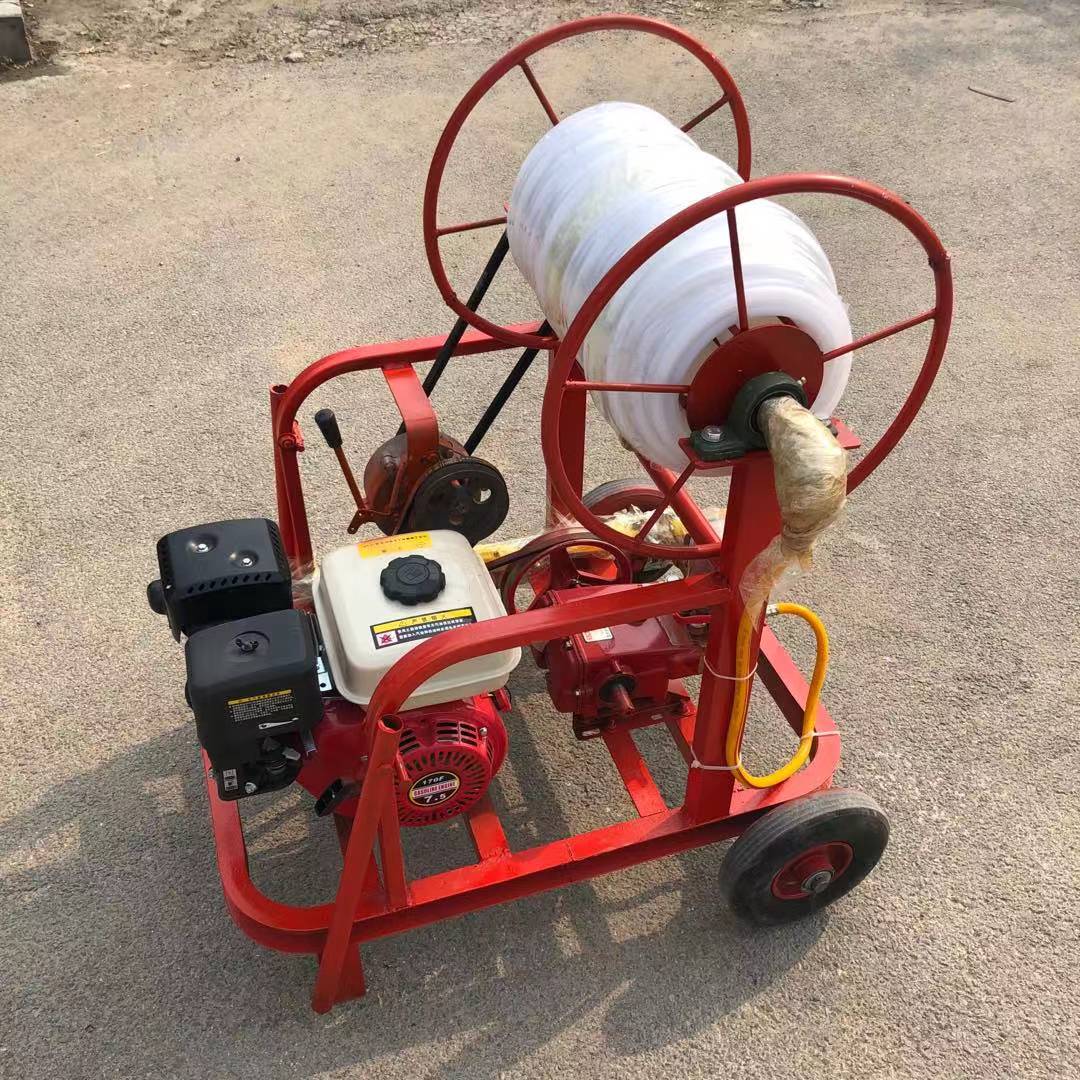 果林苗圃綠化打藥機 果樹殺蟲噴霧農藥打藥機 手推式汽油噴霧器