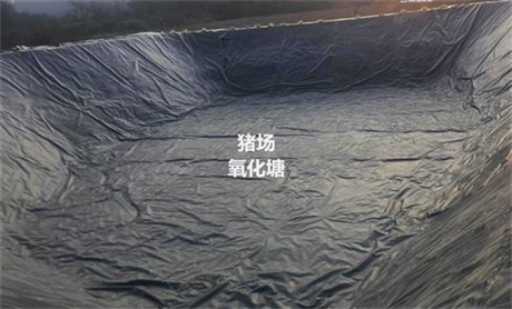 龙岩蓄液池防渗建标黑防渗膜 直营企业