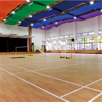 艾力特pvc运动地板 篮球场枫木纹橡木纹地胶  塑胶运动地板