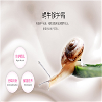 蜗牛修护霜 化妆品oem代加工供应商