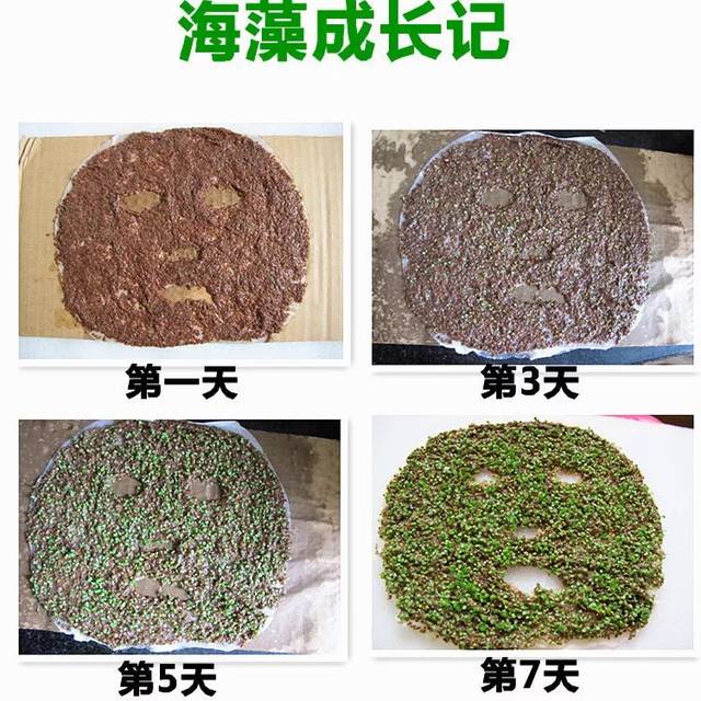 蘇州海藻面膜檢測成分含量補水效果