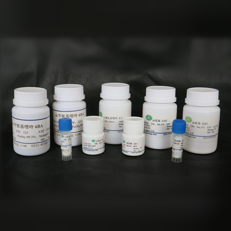 格艾特wpm培养基dkw培养基white培养基b5培养基厂家