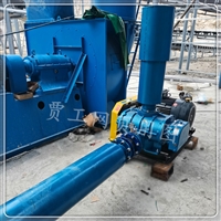 380V罗茨真空泵机组 三叶罗茨鼓风机泵 面粉工业配件物料粉体泵
