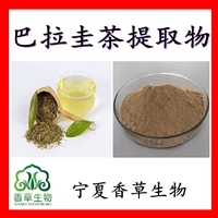 巴拉圭茶提取物多酚 玛黛茶提取物浓缩粉 巴拉圭茶叶粉