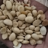 炒杏仁价格 中药材炒杏仁批发
