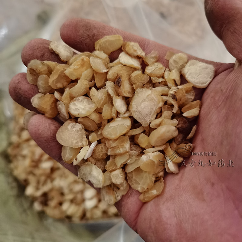 中药材天南星片功效天南星片批发价格