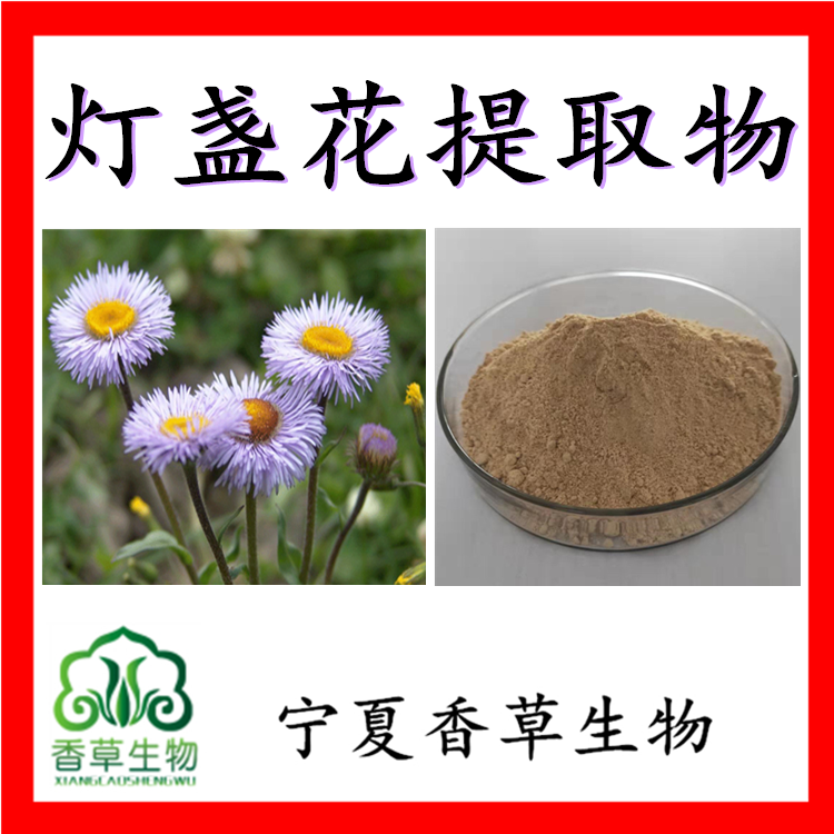 灯盏花提取物灯盏花素 灯盏花提取粉速溶粉